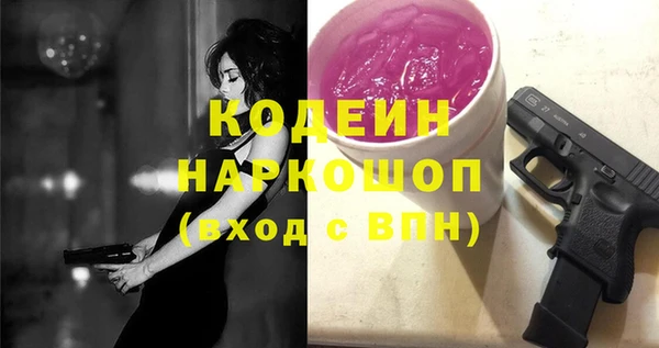 молекула духа Покров
