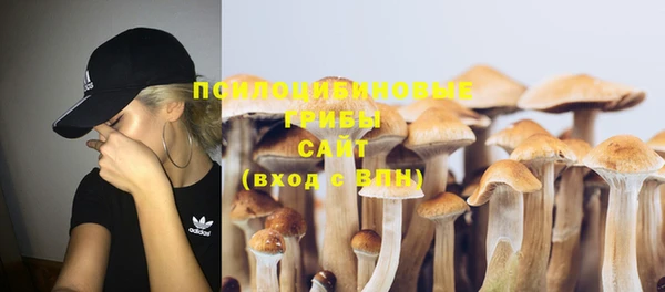 винт Покачи