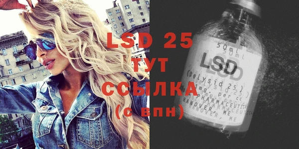 молекула духа Покров