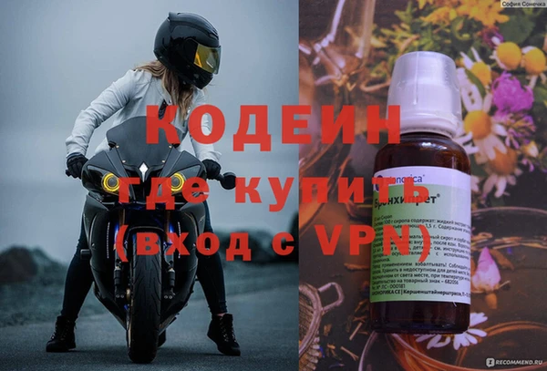 молекула духа Покров