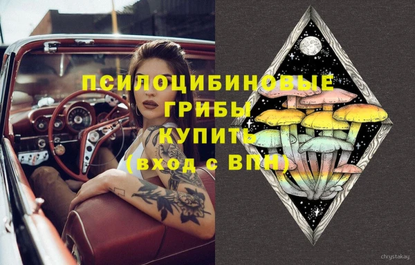 молекула духа Покров