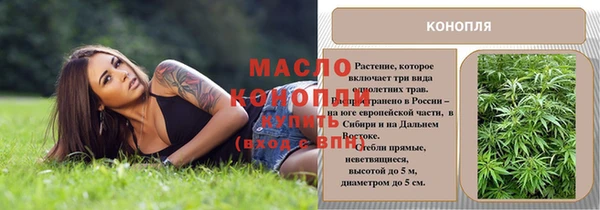 молекула духа Покров