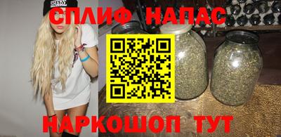 дмт Гатчина