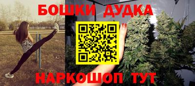 дмт Гатчина