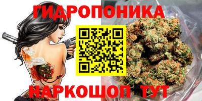 дмт Гатчина