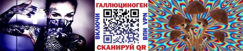 наркошоп Волжск Псилоцибиновые грибы Cubensis