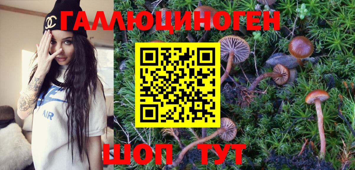 Псилоцибиновые грибы Cubensis Волжск
